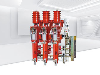 Structura et munus onus switch